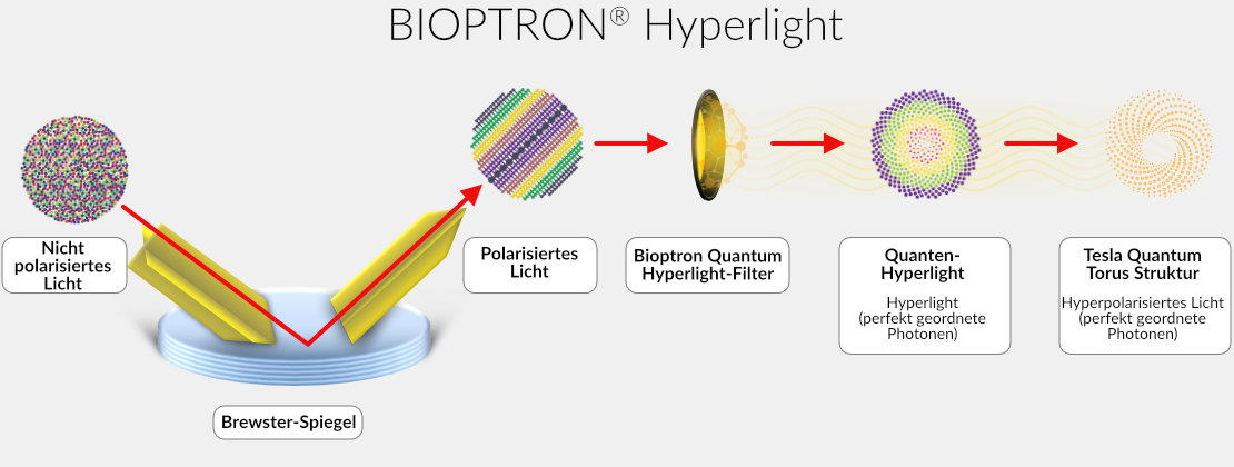 DiagramHyperpolarizedLight-XL-DE